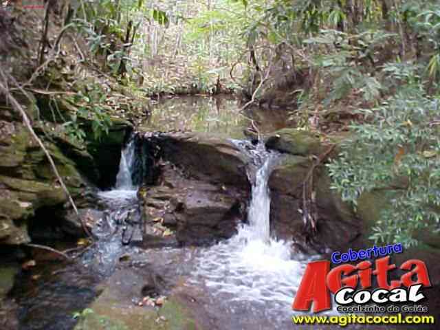 Cocalzinho de Gois