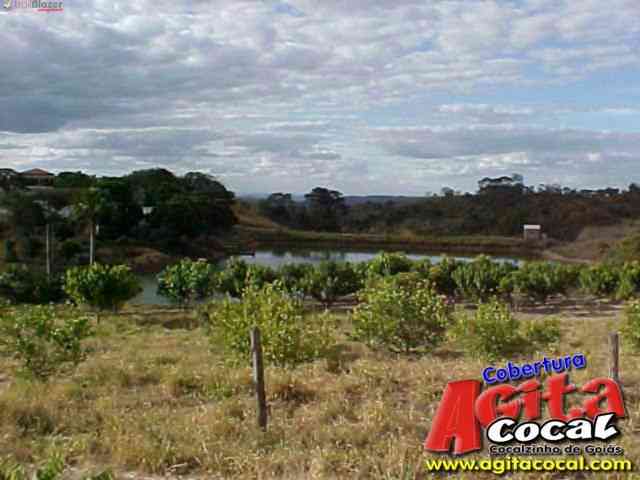 Cocalzinho de Gois
