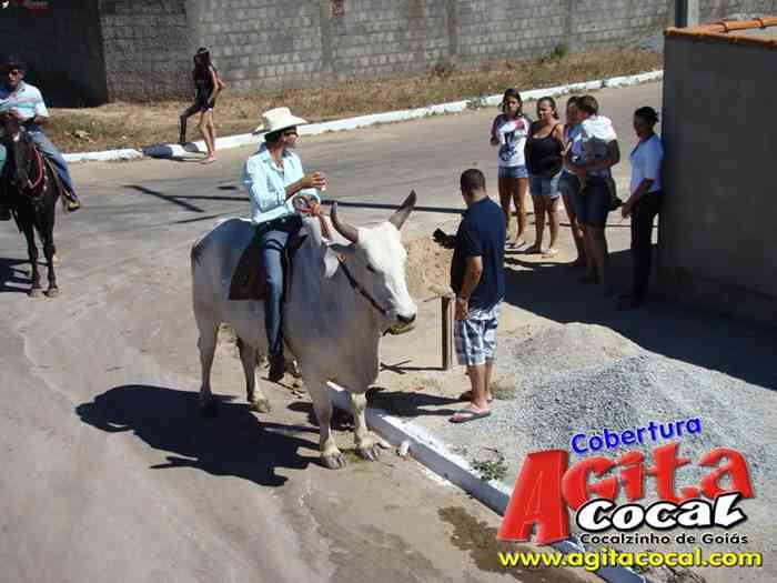 Cavalgada CMM - A Cavalgada (2/3)