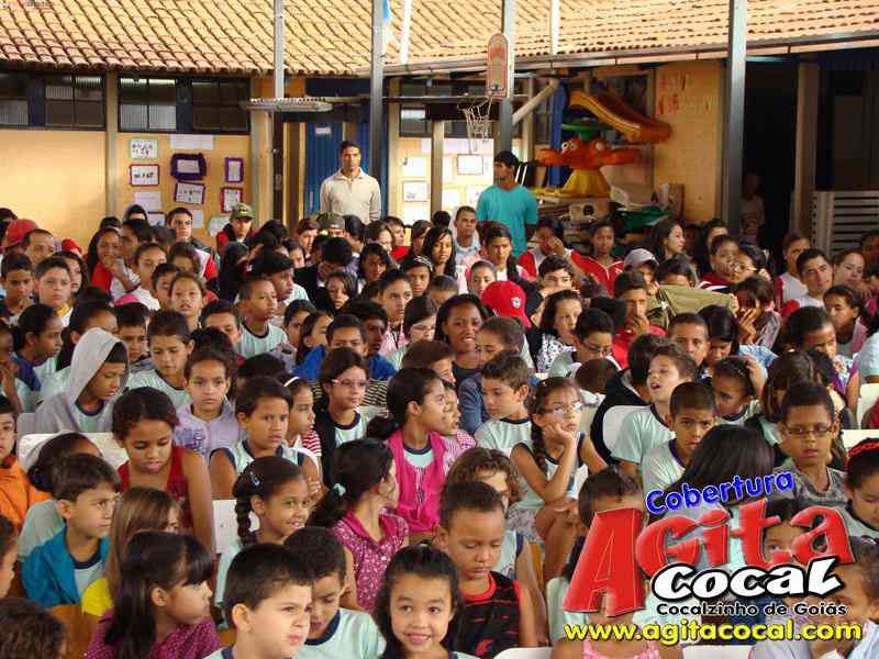 Escola M do Carmo Guirra e Valdir Rezende (Girassol)