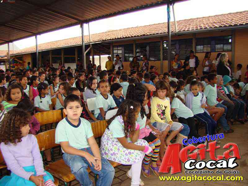 Escola M do Carmo Guirra e Valdir Rezende (Girassol)