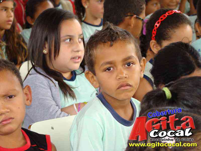 Escola M do Carmo Guirra e Valdir Rezende (Girassol)