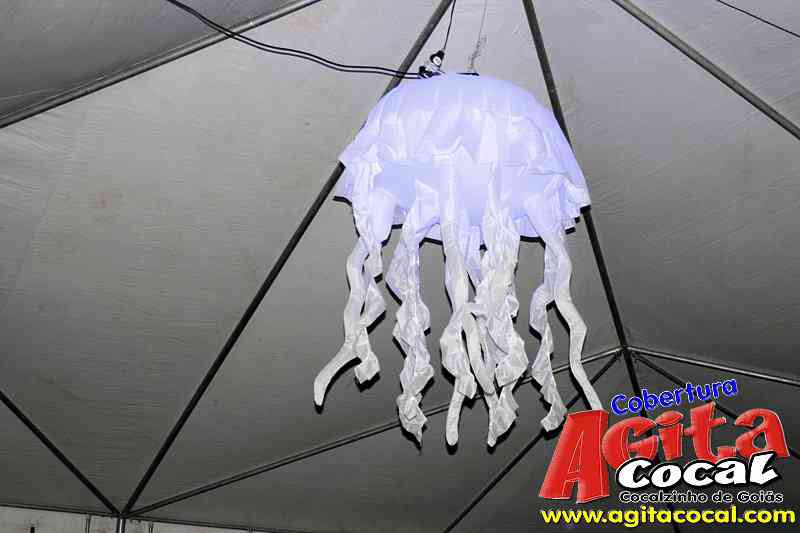 White Party Especial Niver Fest (2 Edio)