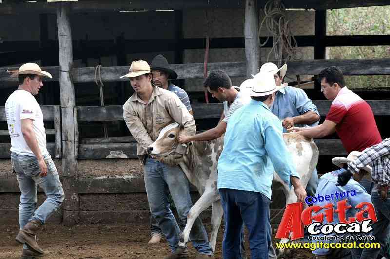 Preparao de Gados (Festa de St Antnio)