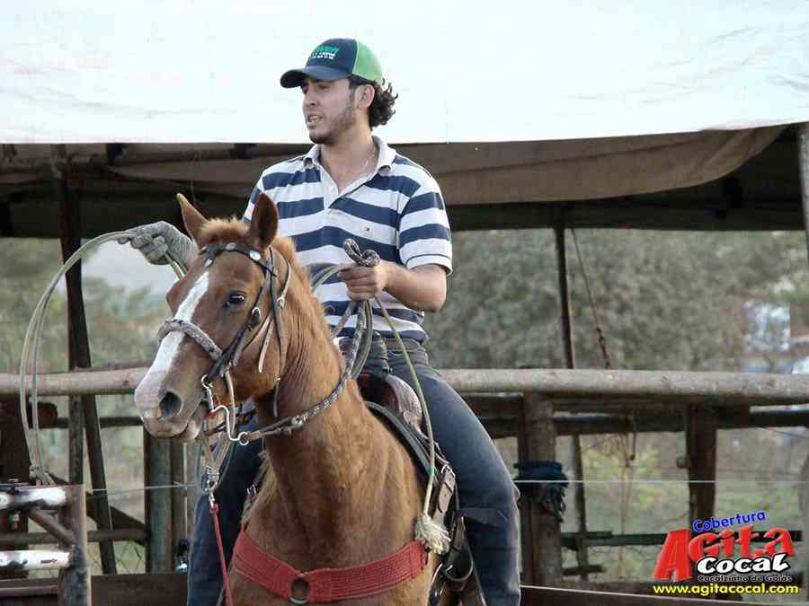 1 Encontro de animais marchadores de Cocalzinho de Gois