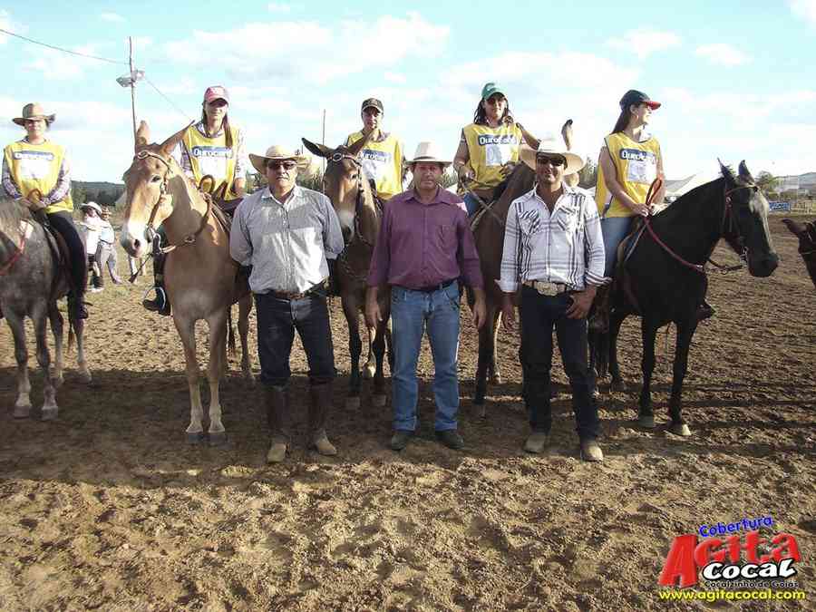 1 Encontro de animais marchadores de Cocalzinho de Gois