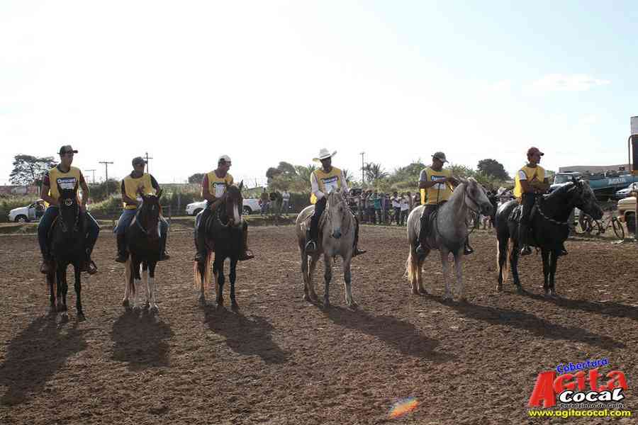 1 Encontro de animais marchadores de Cocalzinho de Gois