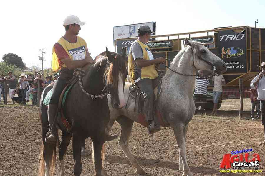 1 Encontro de animais marchadores de Cocalzinho de Gois