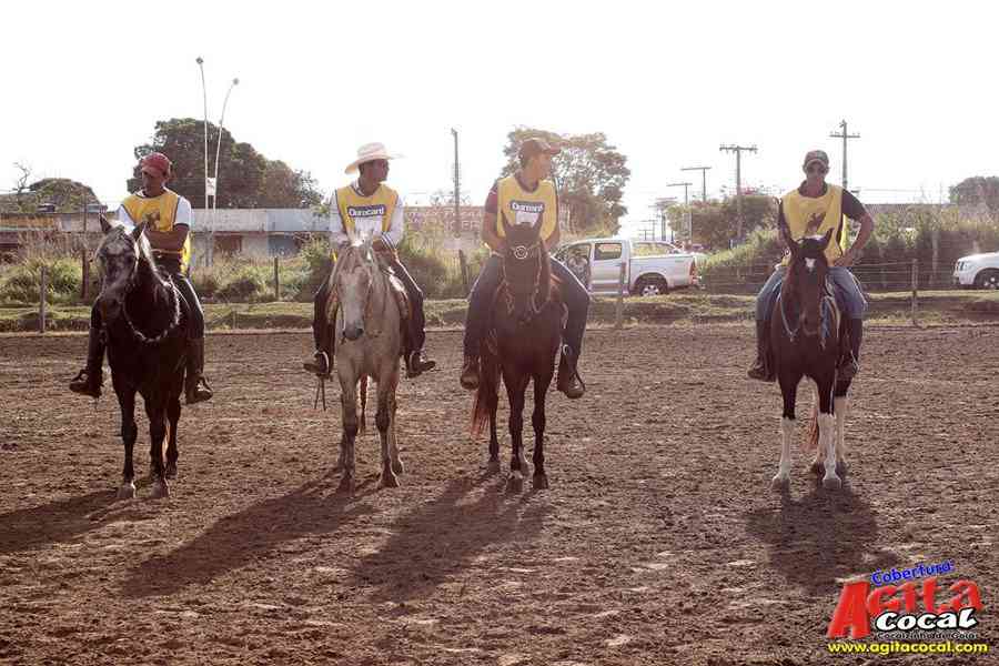1 Encontro de animais marchadores de Cocalzinho de Gois