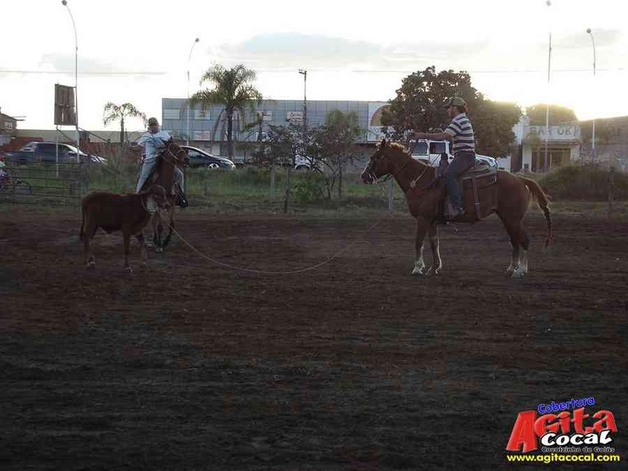 1 Encontro de animais marchadores de Cocalzinho de Gois
