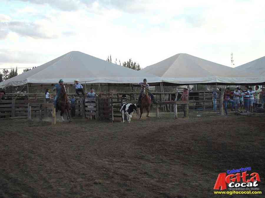 1 Encontro de animais marchadores de Cocalzinho de Gois