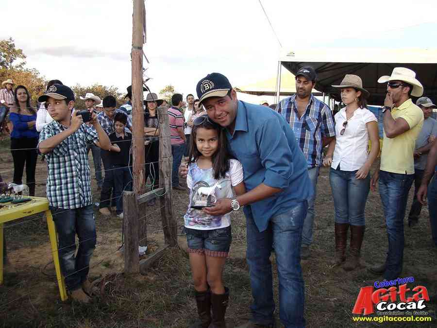 1 Encontro de animais marchadores de Cocalzinho de Gois