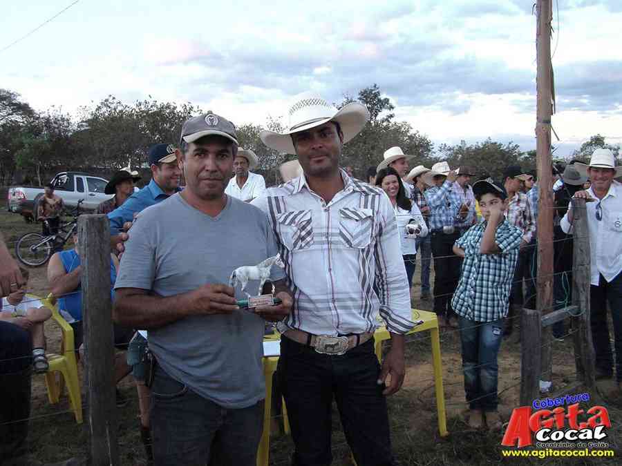 1 Encontro de animais marchadores de Cocalzinho de Gois