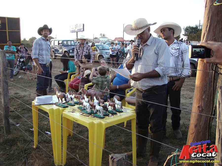 1 Encontro de animais marchadores de Cocalzinho de Gois