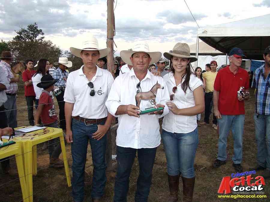 1 Encontro de animais marchadores de Cocalzinho de Gois