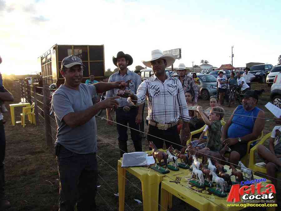 1 Encontro de animais marchadores de Cocalzinho de Gois