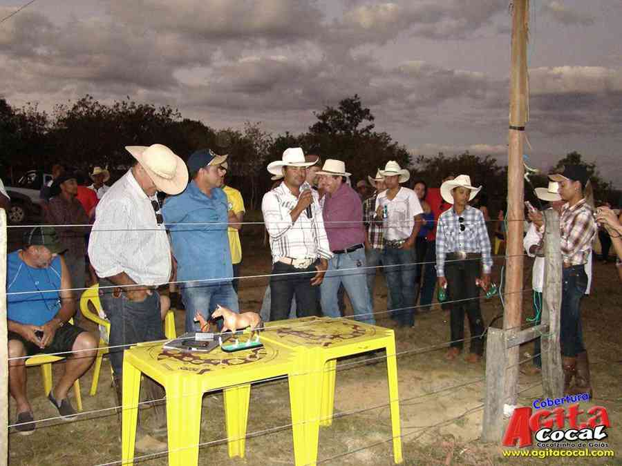 1 Encontro de animais marchadores de Cocalzinho de Gois