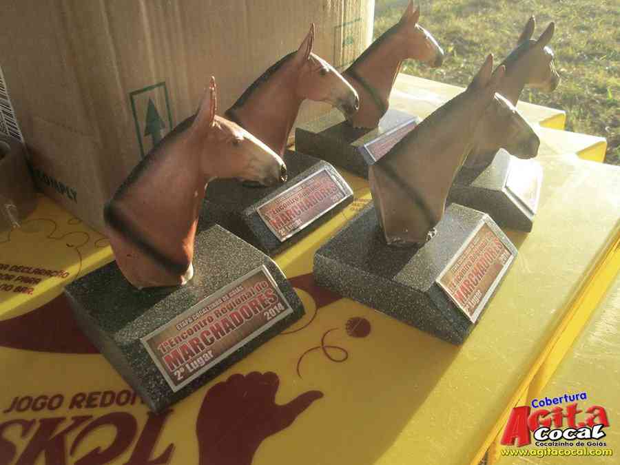 1 Encontro de animais marchadores de Cocalzinho de Gois
