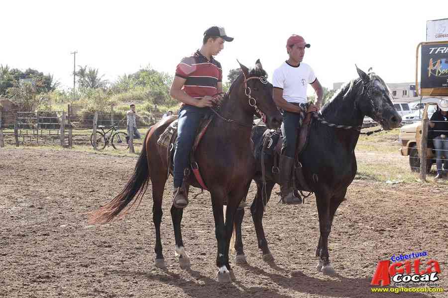 1 Encontro de animais marchadores de Cocalzinho de Gois
