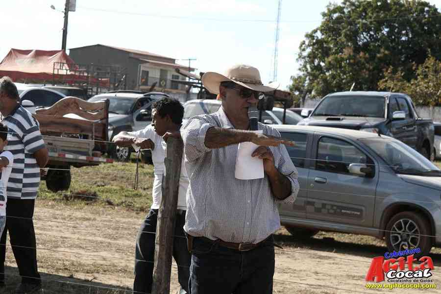 1 Encontro de animais marchadores de Cocalzinho de Gois