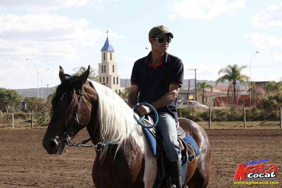 1 Encontro de animais marchadores de Cocalzinho de Gois