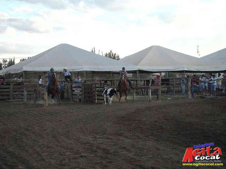 1 Encontro de animais marchadores de Cocalzinho de Gois