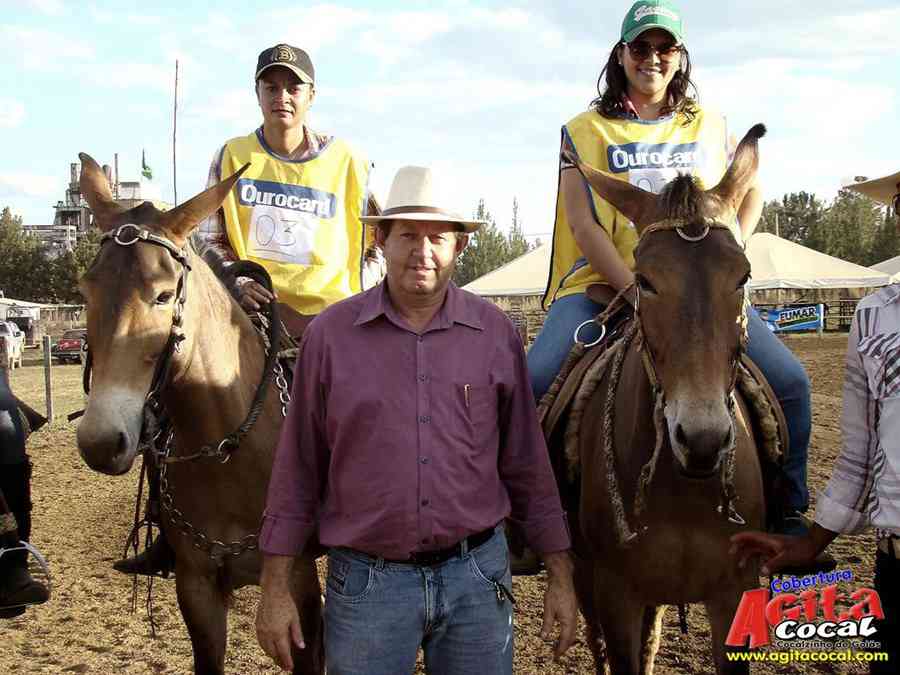 1 Encontro de animais marchadores de Cocalzinho de Gois