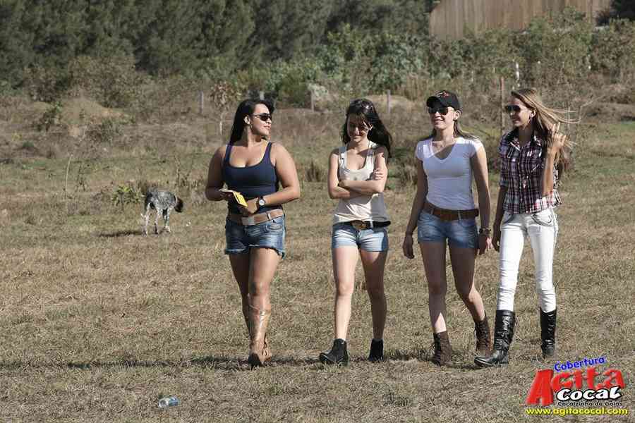 1 Encontro de animais marchadores de Cocalzinho de Gois
