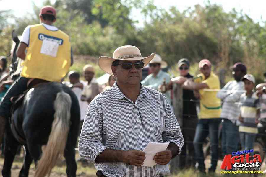 1 Encontro de animais marchadores de Cocalzinho de Gois