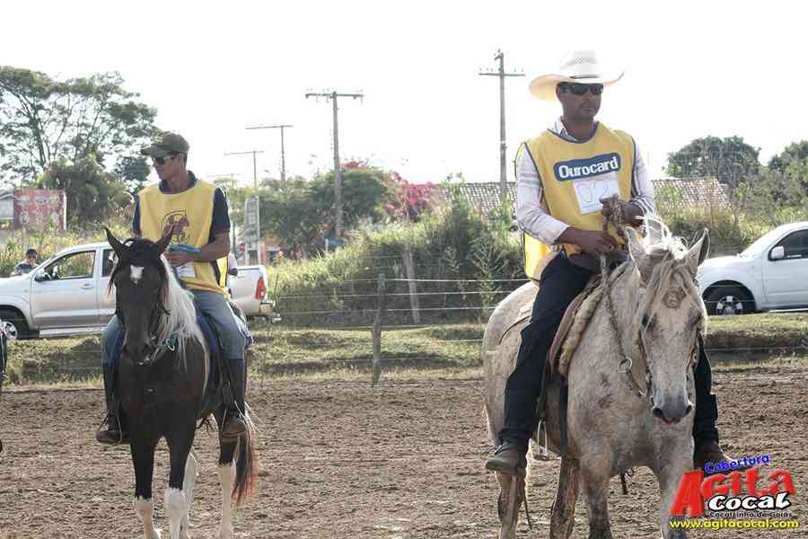 1 Encontro de animais marchadores de Cocalzinho de Gois