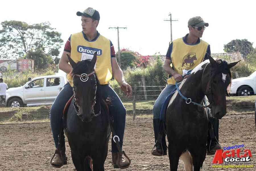 1 Encontro de animais marchadores de Cocalzinho de Gois