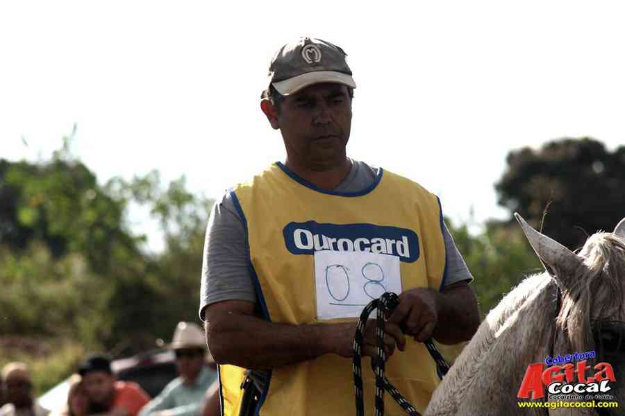 1 Encontro de animais marchadores de Cocalzinho de Gois