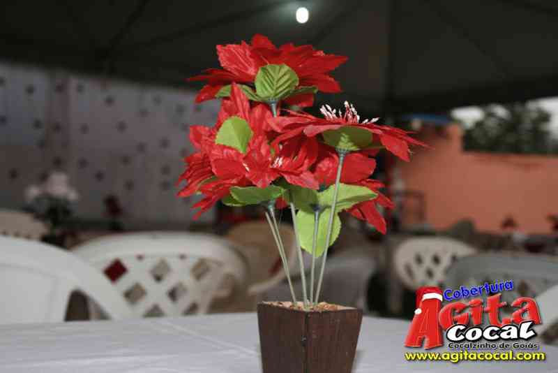 Formatura do 9 Ano do Colegio Sen Jos Ermrio em Cocalzinho