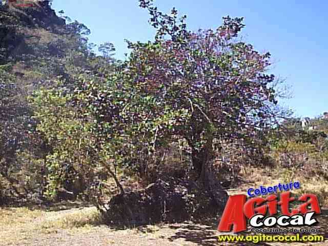 Morro dos Pireneus
