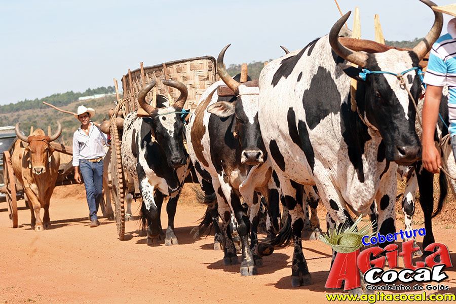 Desfile de Carro de Boi, Bikes e Jeeps