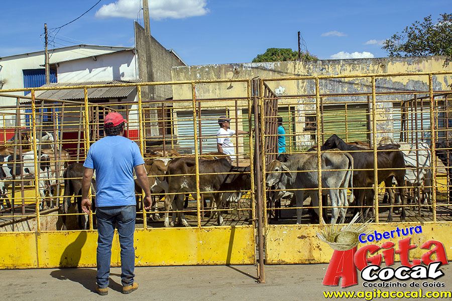 Desfile de Carro de Boi, Bikes e Jeeps