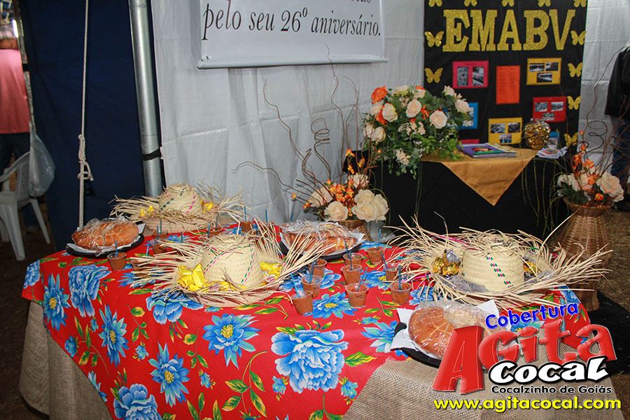 26 Aniversrio de Cocalzinho (2 dia)