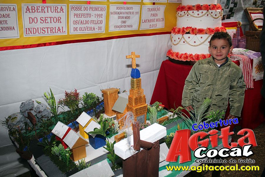 26 Aniversrio de Cocalzinho (Santa Missa e Show Tony Allyson)