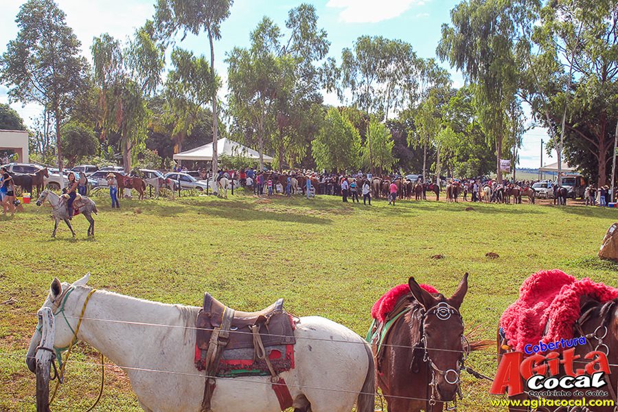 1 Encontro de Cavaleiros (Album 1/2)