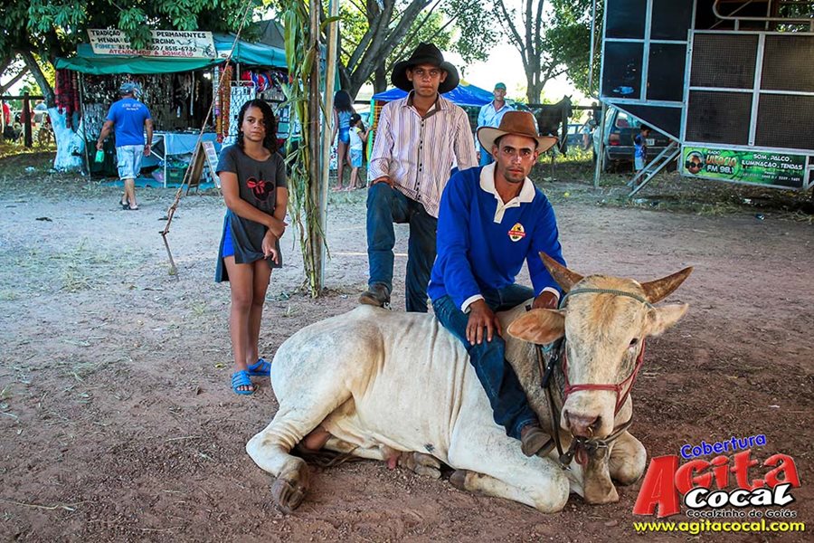 Festa da Pamonha 2017 (Album 2/2)
