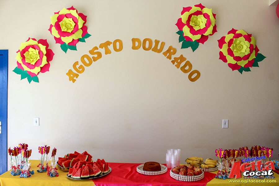 Agosto Dourado (Semana da Amamentao) PSF I eVI