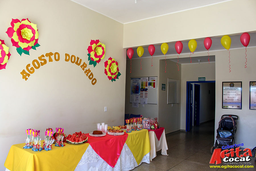 Agosto Dourado (Semana da Amamentao) PSF I eVI