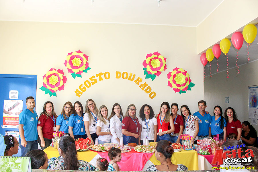 Agosto Dourado (Semana da Amamentao) PSF I eVI