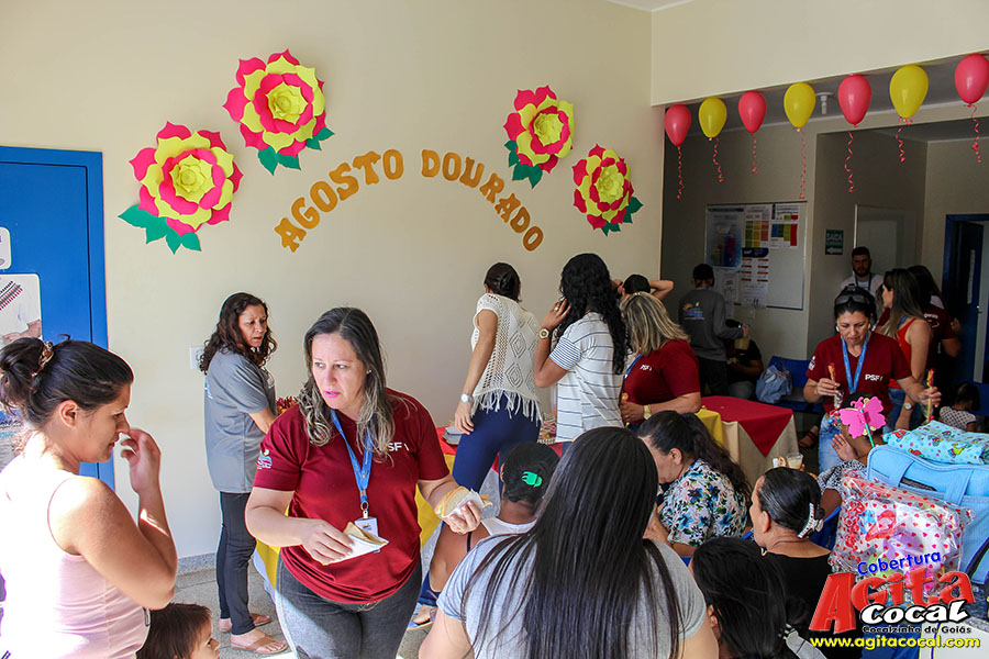 Agosto Dourado (Semana da Amamentao) PSF I eVI