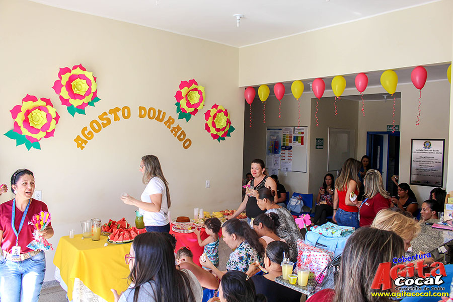 Agosto Dourado (Semana da Amamentao) PSF I eVI