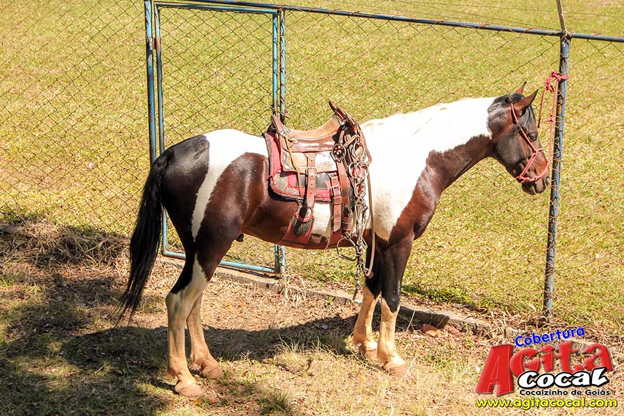 Cavalgada Feminina 2017 (Album 1/2)