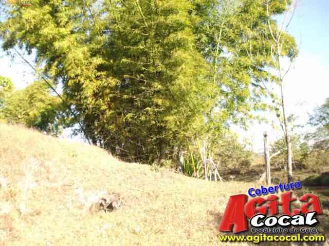 Fotos de Cocalzinho