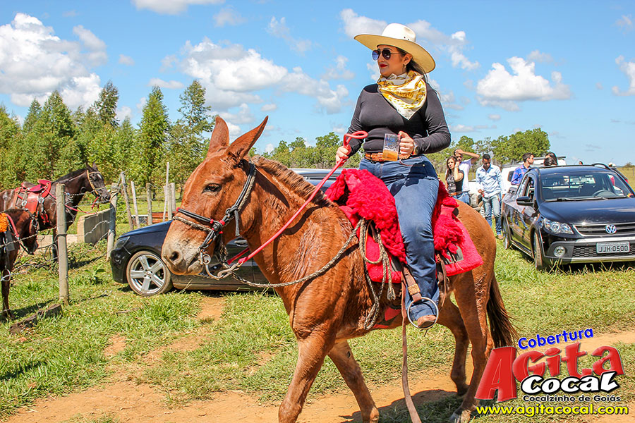 (Album 1/3) 2 Encontro de Cavaleiros Comitiva Cavalo Branco e 1 Encontro Comitiva Espora de Prata 2018