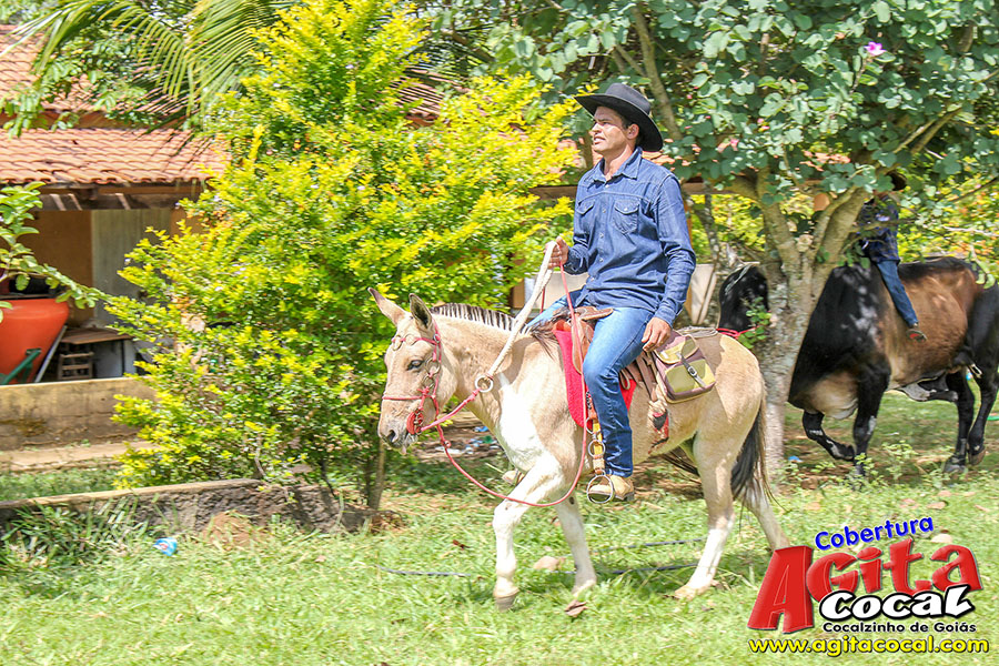 (Album 1/3) 2 Encontro de Cavaleiros Comitiva Cavalo Branco e 1 Encontro Comitiva Espora de Prata 2018