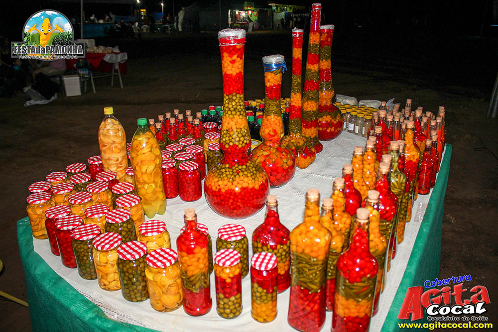 Festa da Pamonha (1 Dia)